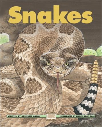 Snakes / written by Adrienne Mason ; illustrated by Nancy Gray Ogle.