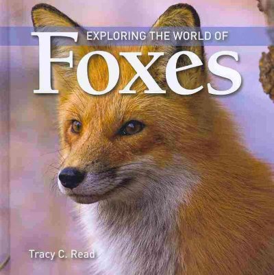 Exploring the world of foxes / Tracy C. Read.
