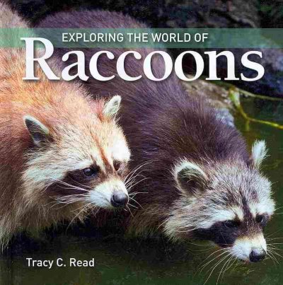 Exploring the world of raccoons / Tracy C. Read.