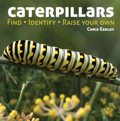 Caterpillars : find, identify, raise your own / Chris Earley ; with Skye Earley.