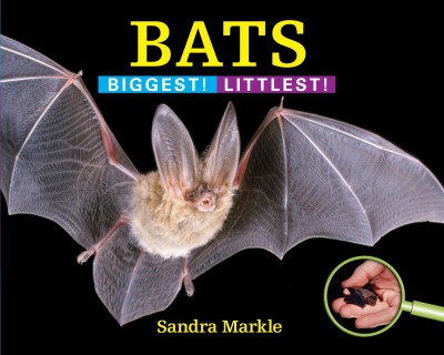 Bats : biggest! littlest! / Sandra Markle.