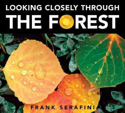 Looking closely through the forest / Frank Serafini.