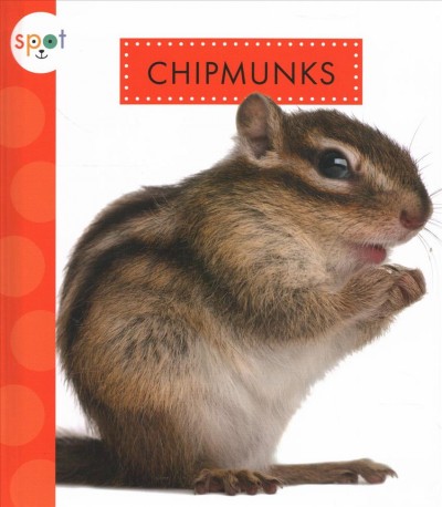 Chipmunks / by Mari Schuh.