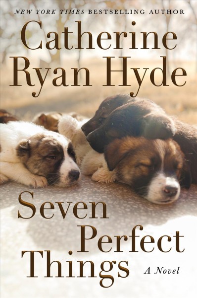 Seven perfect things : a novel / Catherine Ryan Hyde.