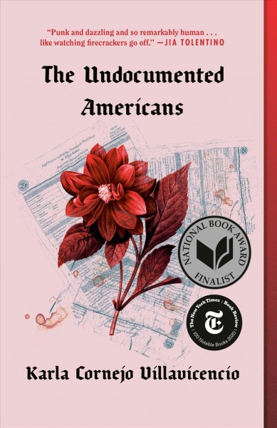 The undocumented Americans / Karla Cornejo Villavicencio