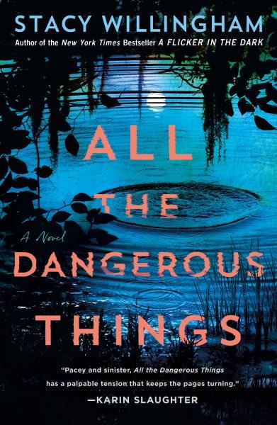 All the dangerous things / Stacy Willingham.