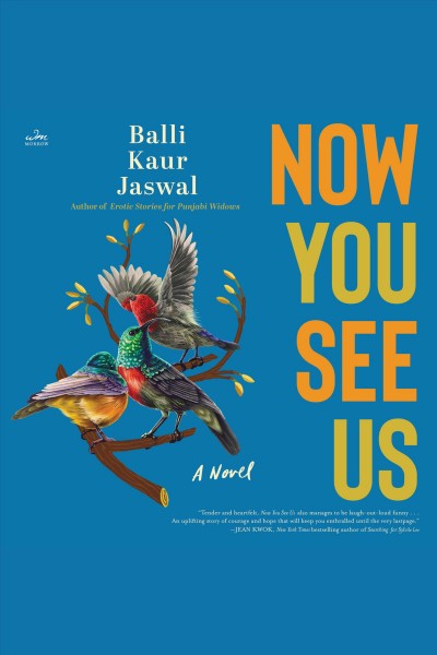Now you see us : a novel / Balli Kaur Jaswal.