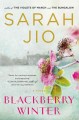 Blackberry winter : a novel  Cover Image