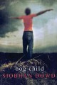 Bog child Cover Image