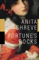 Fortune's rocks a novel  Cover Image