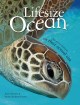 Lifesize ocean  Cover Image
