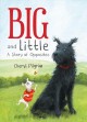 Big and Little : a story of opposites  Cover Image