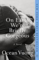 On earth we're briefly gorgeous : a novel  Cover Image