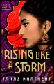 Rising like a storm  Cover Image