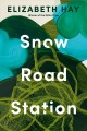 Go to record Snow Road Station : a novel
