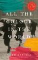 Go to record All the colour in the world : a novel