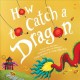 How to Catch a Dragon Cover Image