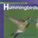 Welcome to the world of hummingbirds  Cover Image